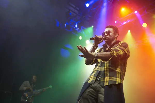 Shaggy