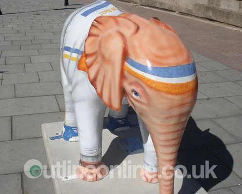 Go Elephants!