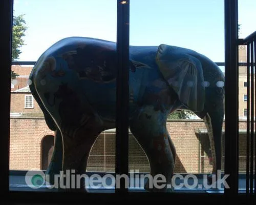 Go Elephants!