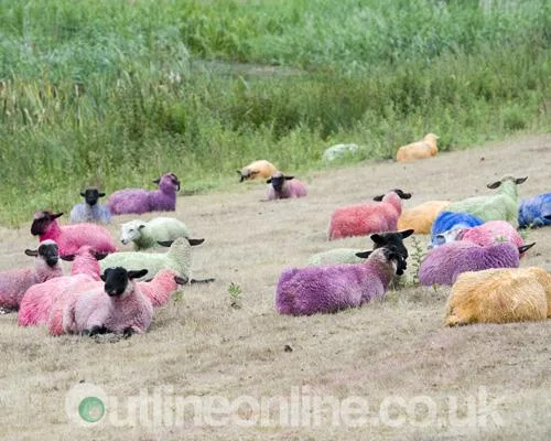 Latitude 2010