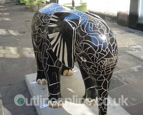 Go Elephants!