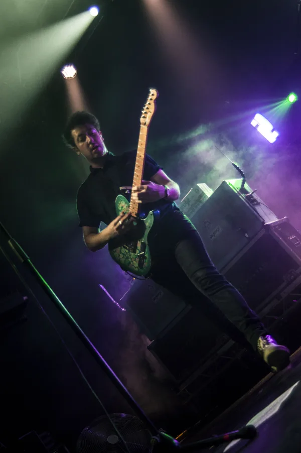 The Wombats