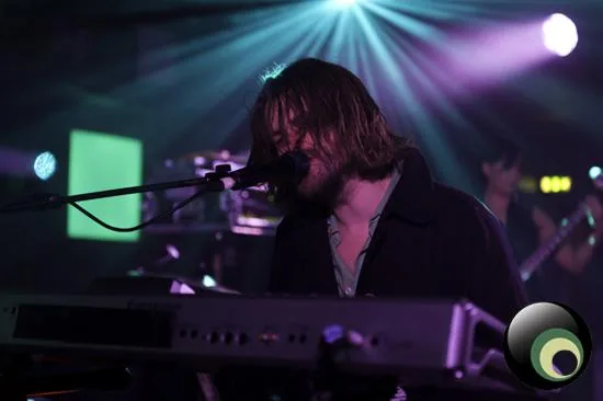 Guillemots