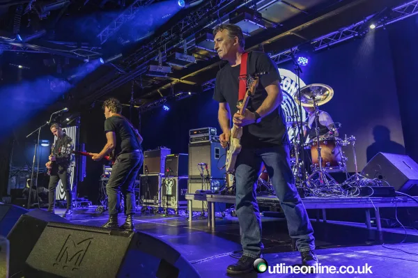 The Chameleons
