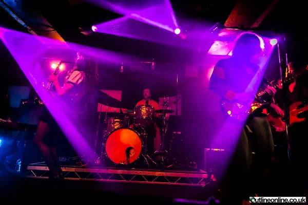 The Zutons