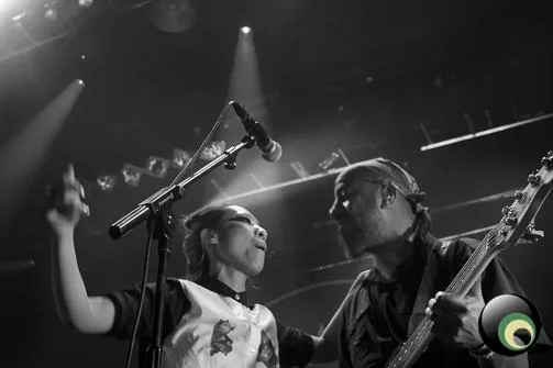 Gogol Bordello