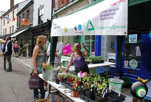 Norwich Lanes Summer Fayre 2014