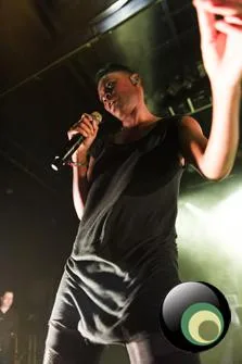 Skunk Anansie