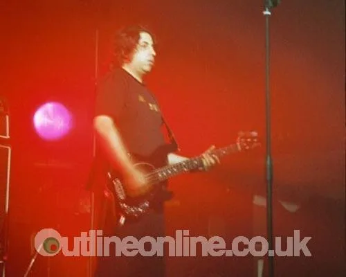 Maximo Park