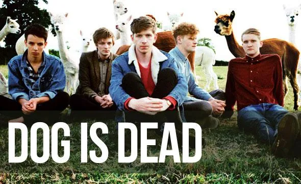 Interview with Dog is Dead
