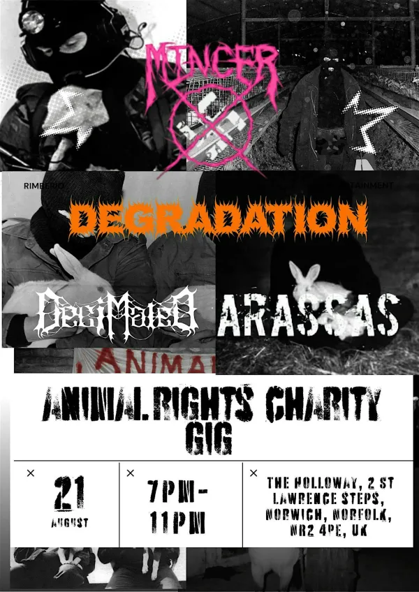 Sipthesystem Presents Animal Rights charity gig