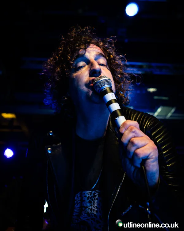 The Pigeon Detectives