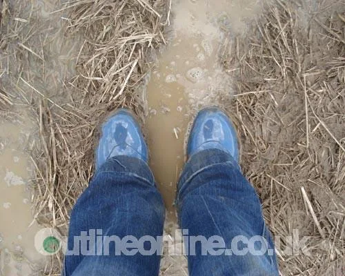 Eastern Haze