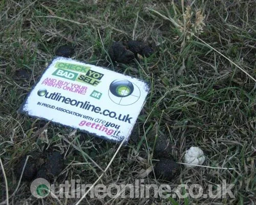 Sonisphere pt 2 2010