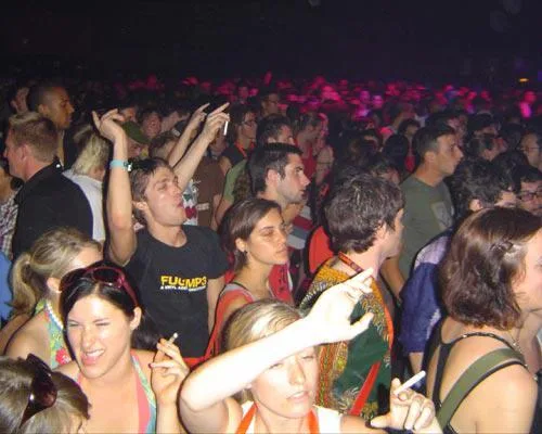 Sonar Festival