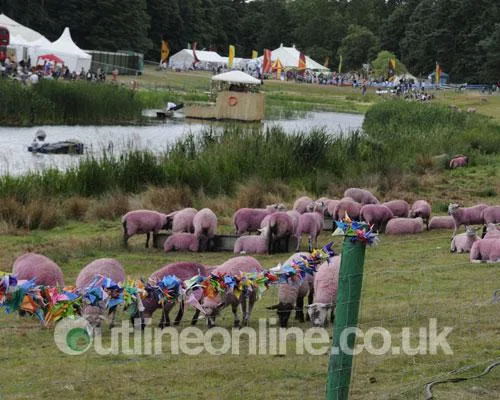 Latitude 2008 3a