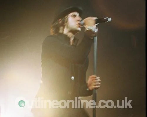 Maximo Park