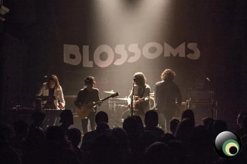 Blossoms @ NAC