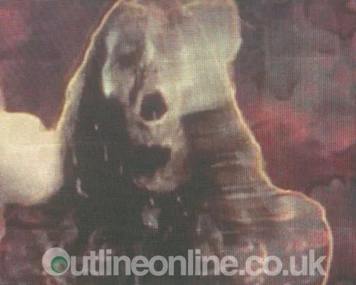 Sonisphere pt 1 2010