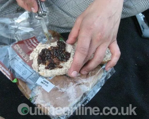 Sonisphere pt 2 2010