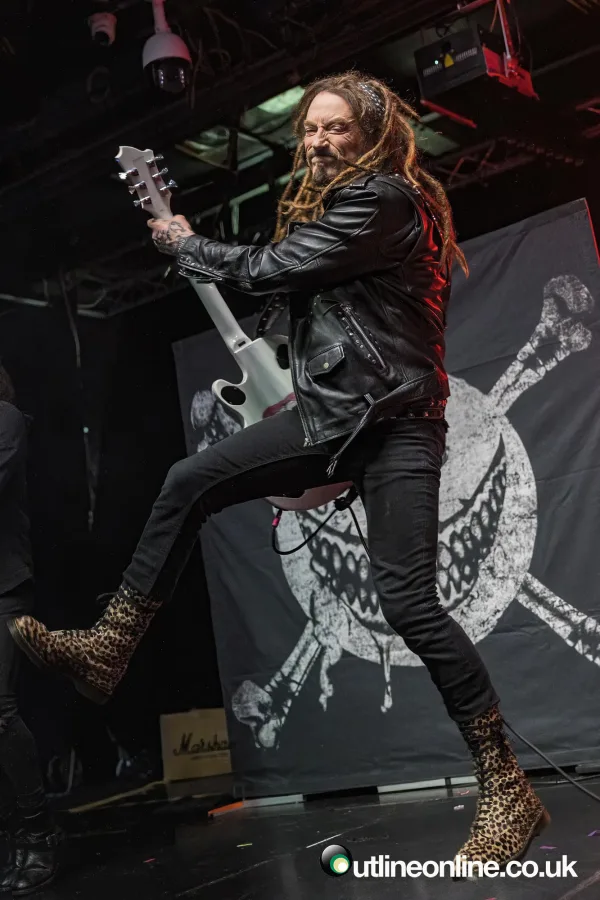The Wildhearts