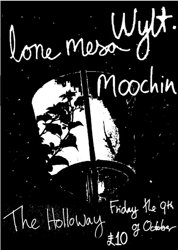 Wylt + Lone Mesa + Moochin