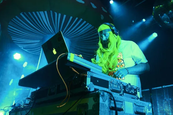 The Flaming Lips