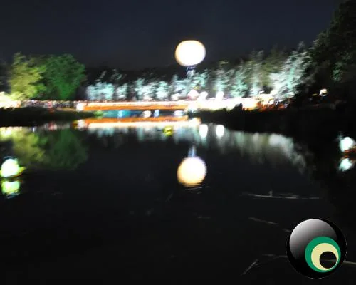 Latitude 2011