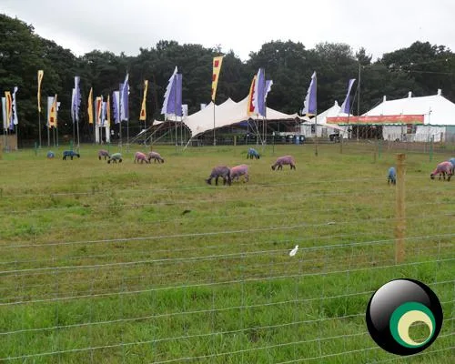 Latitude 2011