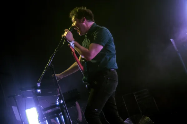 The Wombats