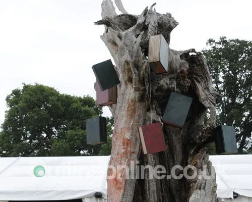 Latitude 2008 1a