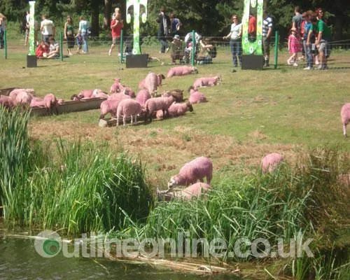 Latitude 2008 2
