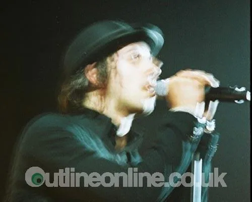 Maximo Park
