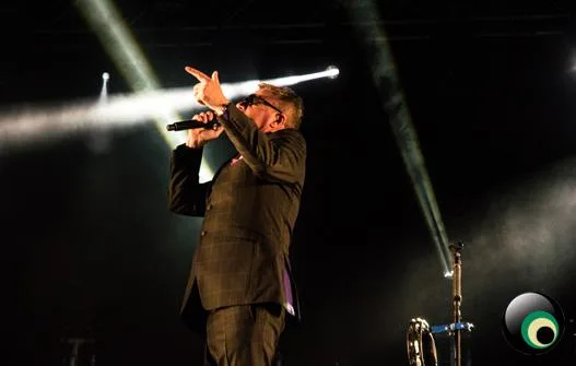 Madness @ Newmarket Racecourse