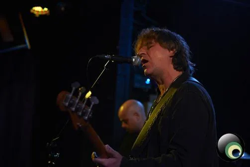 Chameleons Vox