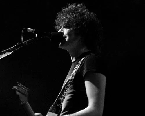 The Fratellis