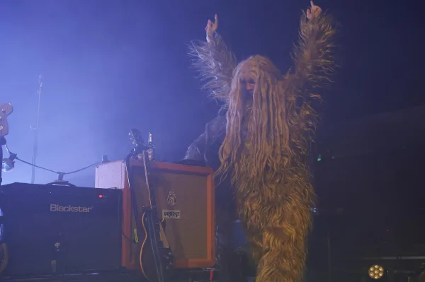 Super Furry Animals
