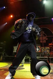 Public Enemy