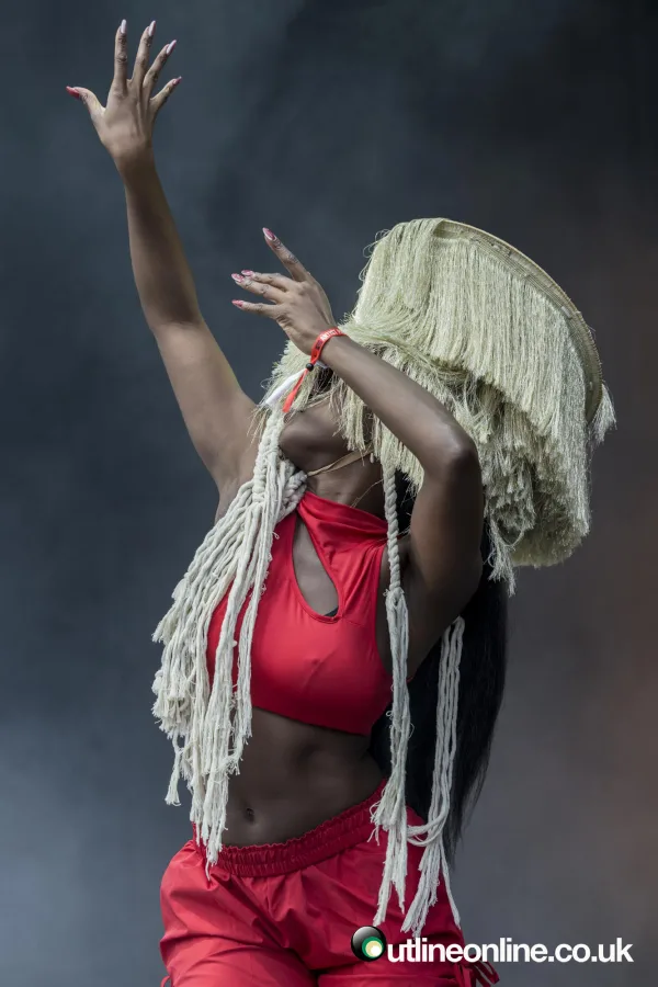 Wild Fields Festival 2024 Day 1