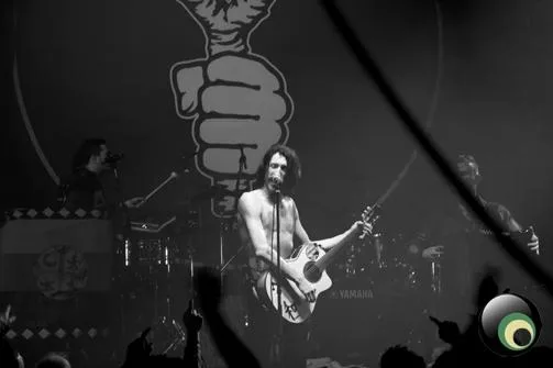 Gogol Bordello