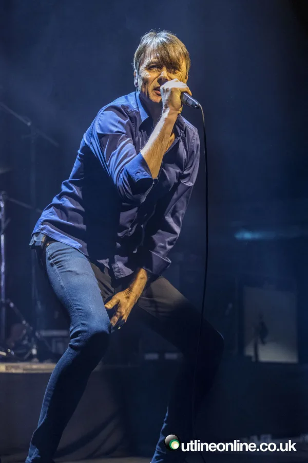 Suede