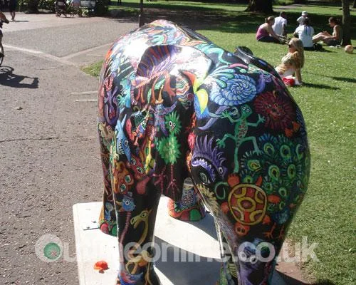 Go Elephants!