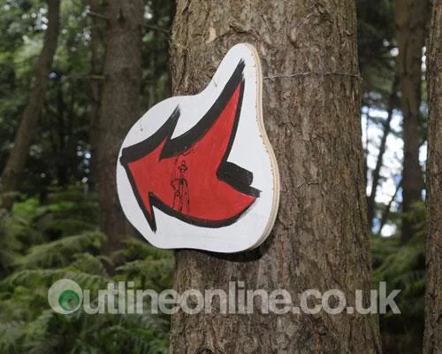 Latitude 2008 3a