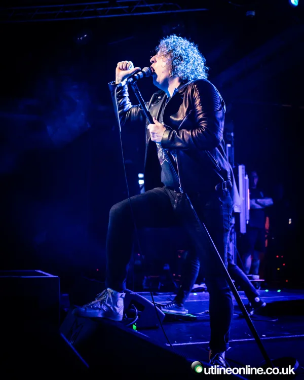 The Pigeon Detectives