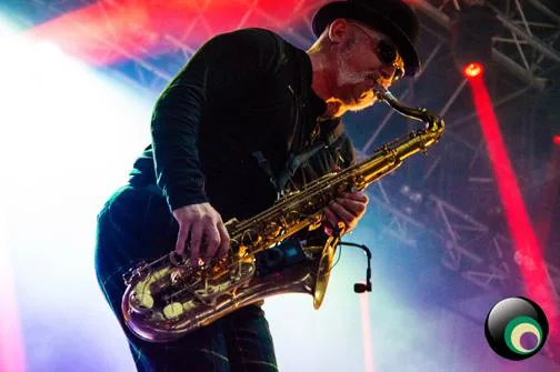 Madness @ Newmarket Racecourse