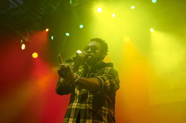 Shaggy