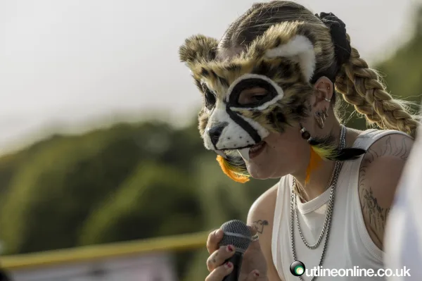 Wild Fields Festival 2024 Day 2