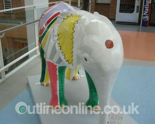 Go Elephants!
