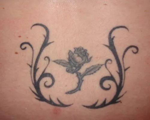 Danni 22