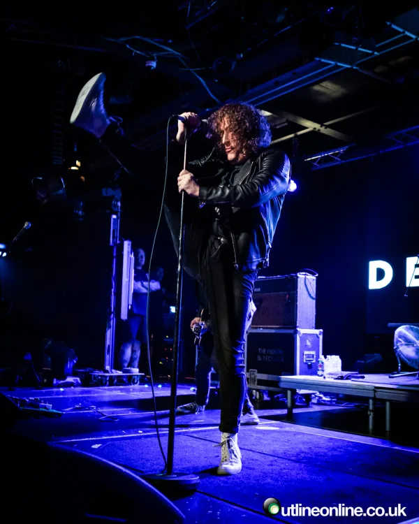 The Pigeon Detectives